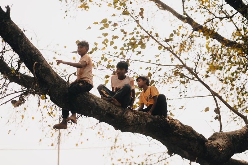 Treehouse